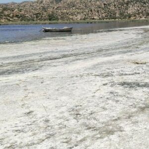 bafa golu can cekisiyor kokudan yaklasmak mumkun degil z8zc8ibX