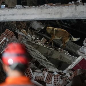 sindirgida artci sayisi 100u asti bzG4HCph