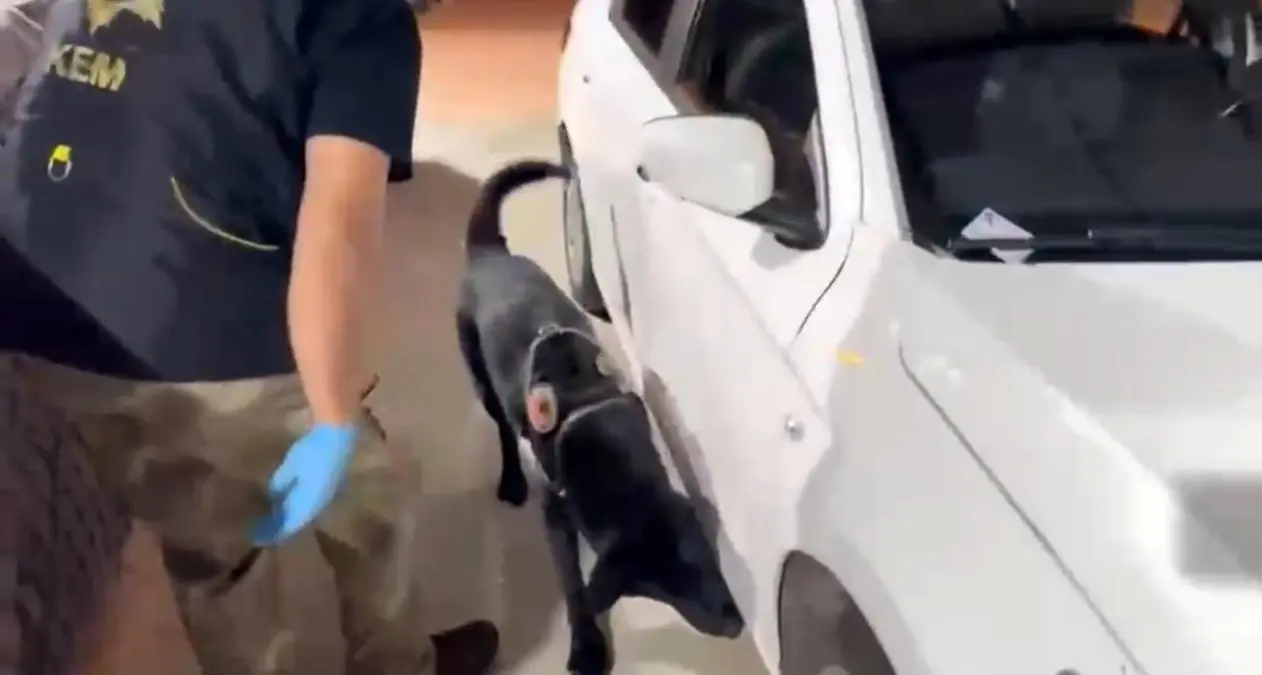 samsunda baba ogul uyusturucu ile yakalandi zTNKSHlA