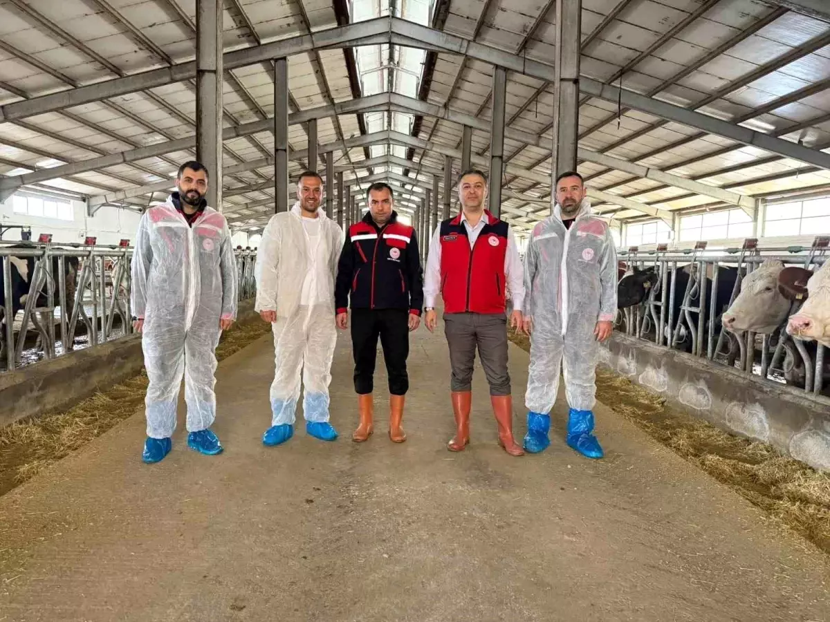 afyonkarahisarda yeni hastaliktan ari isletme sertifikasi aKQkgYRK.jpg