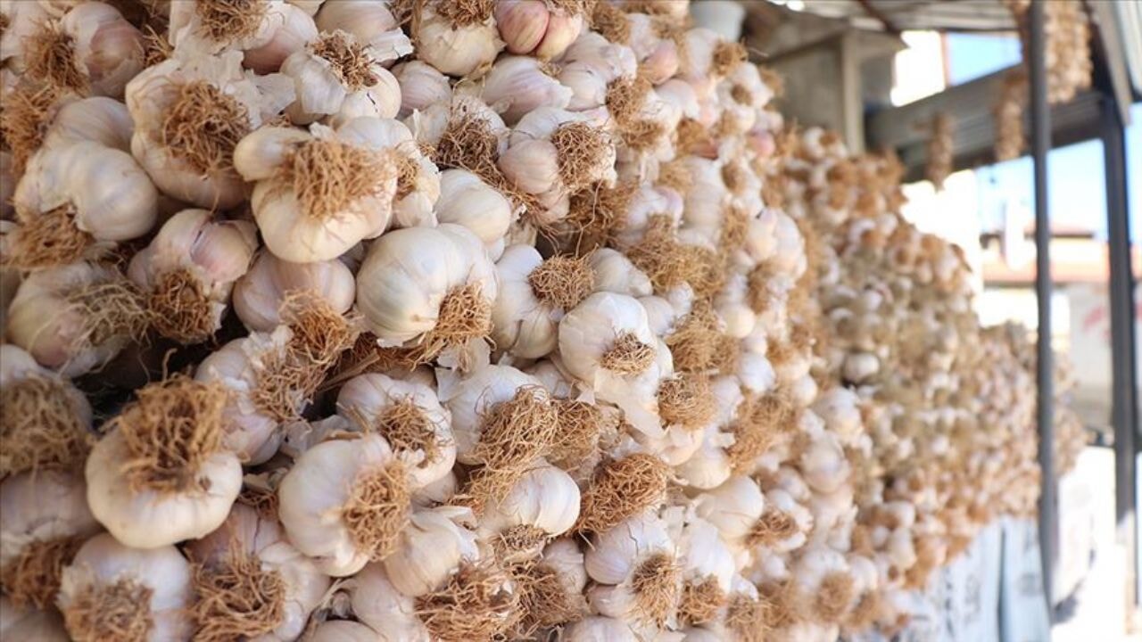 sarimsak yemek icin on neden ve taskopru sarimsaginin essiz yapisi AH1p8d9u.webp