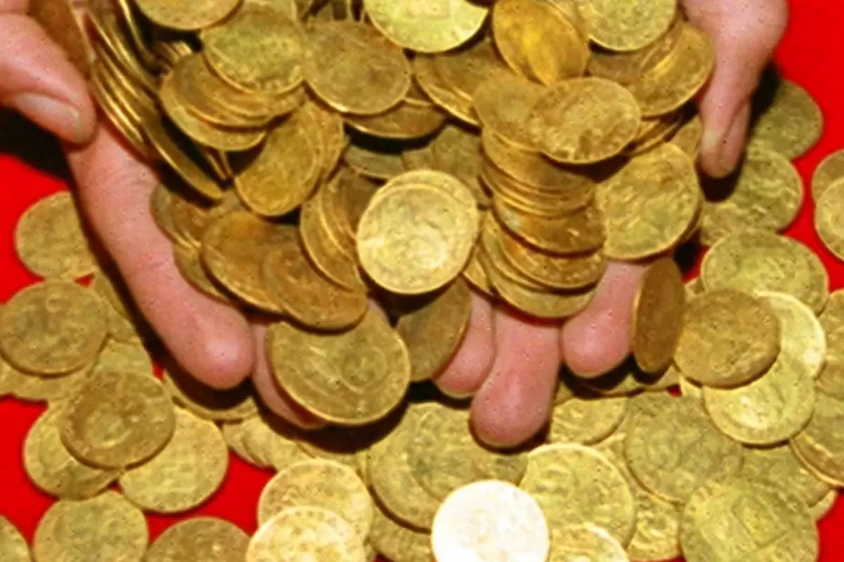 yuzme havuzu kazarken hayati degisti bir kurek darbesiyle servet buldu eLIcXuOd.jpg