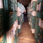 ortahisarda-yatak-limon-depolari-MsQ4rlSL-1