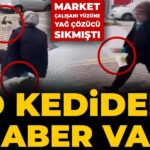 market-calisani-yuzune-yag-cozucu-sikmisti-o-kediden-haber-var-FVlc68ZJ