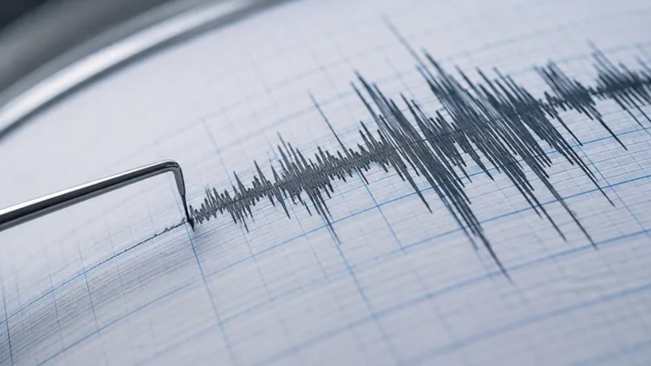 Haber gorseli